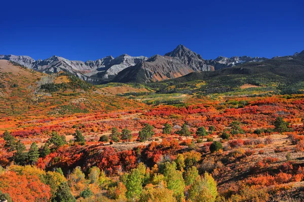 Fogliame Autunnale Continental Divide Vicino Ridgeway Colorado — Foto Stock