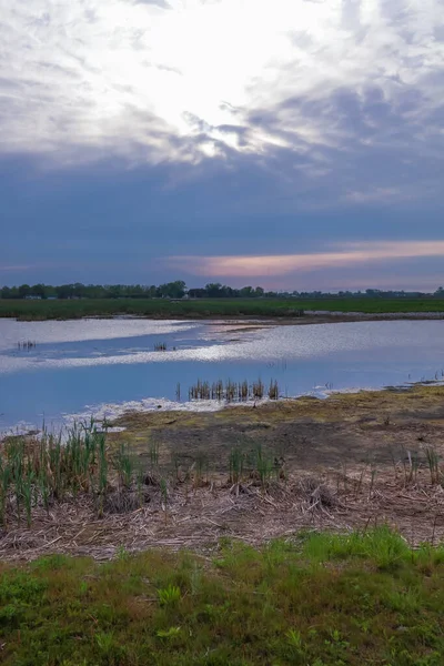 Pântano Terras Ohio Rural Sob Luz Sol Noite — Fotografia de Stock