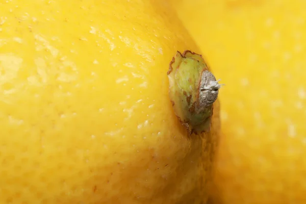 Крупним Планом Знімок Лимона Фоні Іншого Лимона — стокове фото
