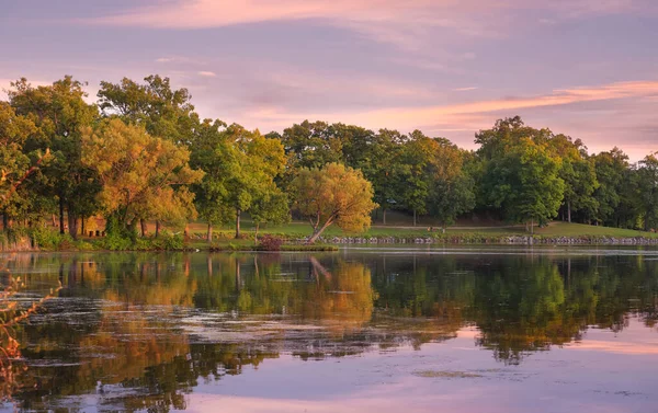 Stromy Jezera Kent Michigan Večerního Slunečního Světla — Stock fotografie