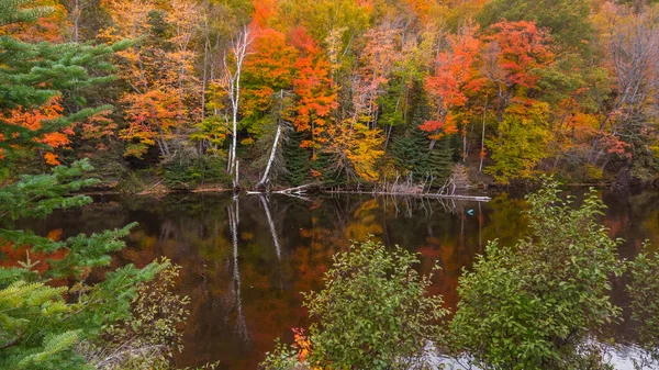 Πολύχρωμα Φθινοπωρινά Δέντρα Δίπλα Στο Ποτάμι Αντανάκλαση Στο Νερό — Φωτογραφία Αρχείου