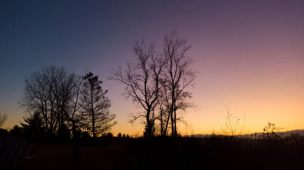 Silhuett Träd Mot Solnedgång Himmel Bakgrund — Stockfoto