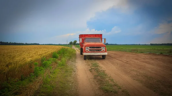 畑の真ん中にある古い赤いトラック — ストック写真