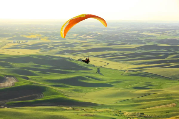 Washington 'daki Palouse tepelerinde uçan planör.