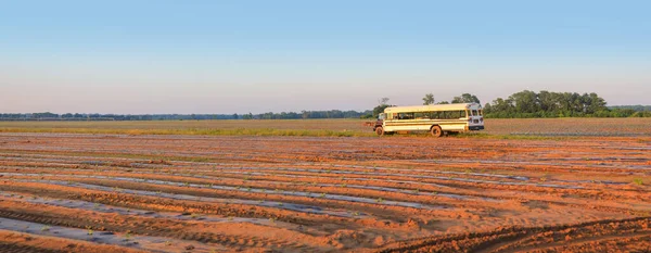 Oude Bus Het Midden Van Het Veld Dragen Groenten Fruit — Stockfoto