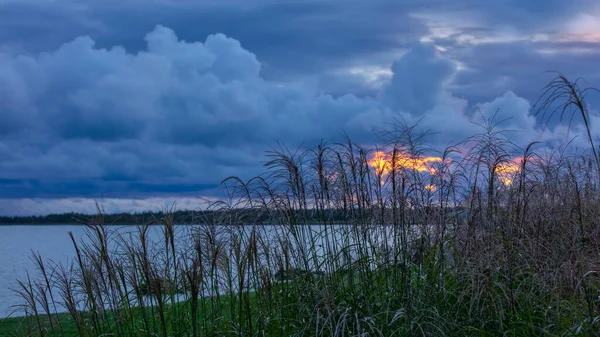 Grama Alta Costa Lago Michigan Com Fundo Céu Tempestuoso — Fotografia de Stock