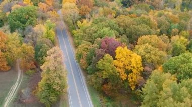 Michigan kırsalında sonbahar yeşilliklerinin manzaralı manzarası