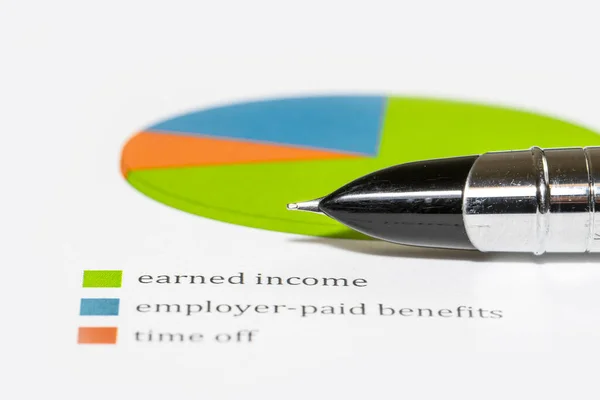 Close up shot of pen tip on a pie chart showing income analysis