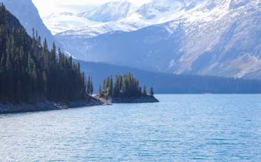 Coniferous trees on a small island in lower Kananaskis lake in Alberta, Canada.