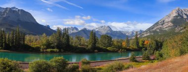 Banff Ulusal Parkı 'ndaki Bow nehrinin kenarındaki kozalaklı ağaçların panoramik manzarası