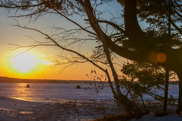 Árvores Lago Primeiro Plano Costa Superior Durante Pôr Sol Inverno — Fotografia de Stock