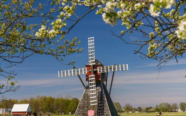 Molino Viento Histórico Holanda Michigan Durante Primavera —  Fotos de Stock