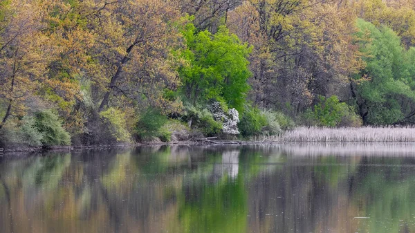 Dřevo Přistává Jaře Odrazem Jezeře — Stock fotografie