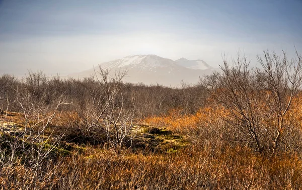 Βουνά Στο Εθνικό Πάρκο Thingvellir Στην Ισλανδία Την Άνοιξη — Φωτογραφία Αρχείου