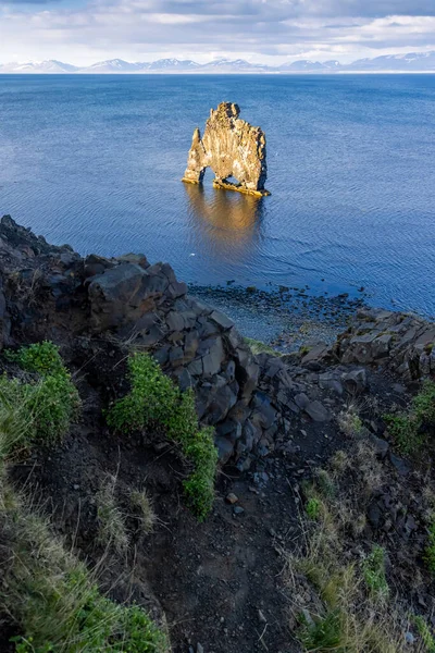 Dinosauří Skála Zvaná Hvitserkur Pobřeží Severního Islandu — Stock fotografie