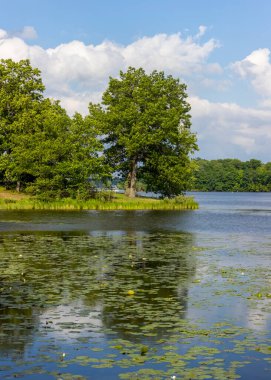 Michigan 'daki Kensington metro parkındaki gölde yemyeşil ağaçlar ve yansımalar