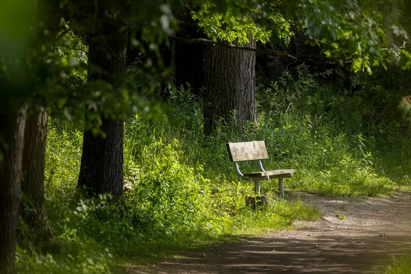 Avkopplande Stol Vid Promenadstigen Parken — Stockfoto