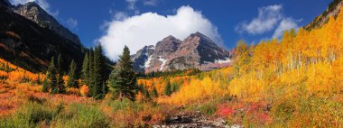 Bordo çanların sonbahar manzarasının panoramik görüntüsü