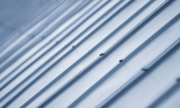 Close Shot Corrugated Metal Sheet Roof Shed — Stock Photo, Image