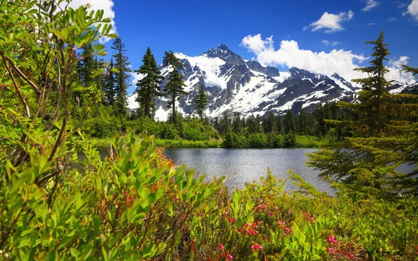 Paesaggio Panoramico Del Monte Shuksan Nello Stato Washington — Foto Stock