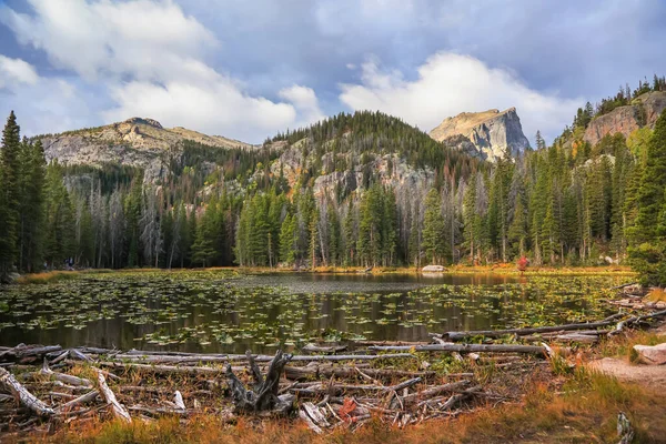 Ландшафт Озера Німф Колорадо Оточений Хвойними Лісами Горами — стокове фото