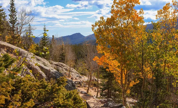 Feuillage Automne Long Dream Lake Trial Dans Les Montagnes Rocheuses — Photo