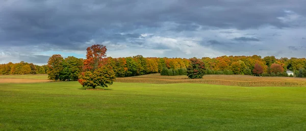 Michigan Kırsalındaki Çayırlarda Koyu Bulutlu Gökyüzü Ile Sonbahar Ağaçlarının Panoramik — Stok fotoğraf