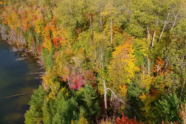 Vista Aérea Árvores Coloridas Outono Perto Lago Council Península Superior — Fotografia de Stock