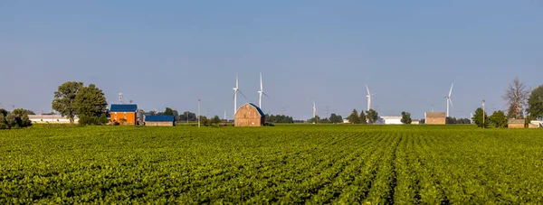 Panoramic View Typical Farm Landscape Michigan — Stock Photo, Image