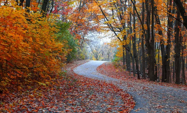 Arbres Automne Colorés Près Piste Cyclable Dans Michigan Rural — Photo