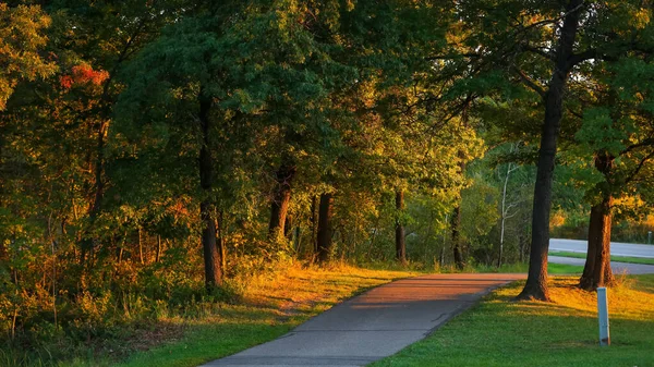 Scenic Landscape Trees Lit Sunset Biking Trail — Stock Photo, Image