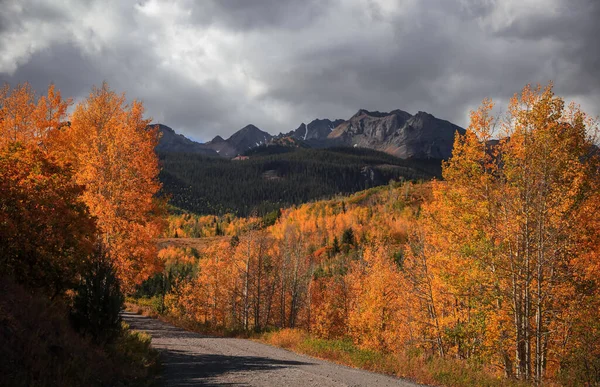 Fogliame Caduta Lungo Colorado Strade Panoramiche Posteriori Nella Giornata Tempestosa — Foto Stock