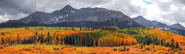 Vue Panoramique Pic Wilson Colorado Entouré Feuillage Automnal Automne — Photo