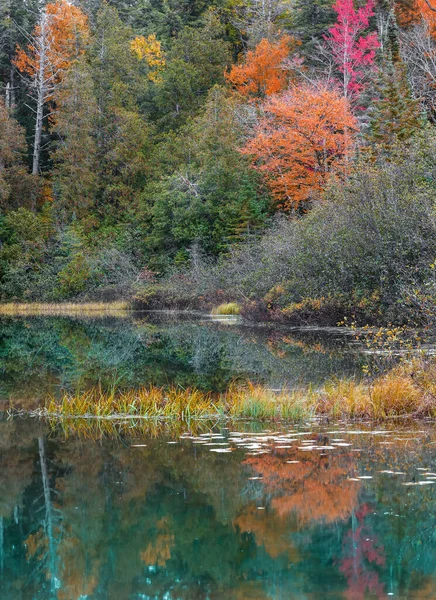 Kleurrijke Herfstbomen Door Kleine Vijver Michigan Platteland — Stockfoto