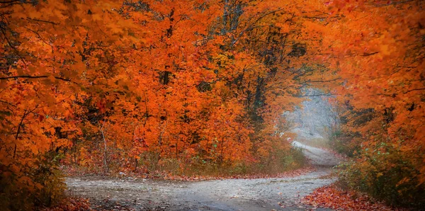 Árvores Brilhantes Época Outono Longo Passagens Cênicas Michigan — Fotografia de Stock