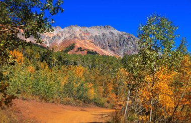 Colorado 'daki Silver Dağı' nın önündeki Ophir yolu boyunca uzanan parlak Aspen ağaçları.