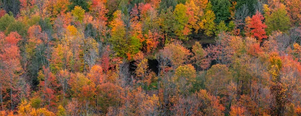 Michigan Yarımadasının Yukarısında Karadeniz Ulusal Ormanı Nın Rengarenk Yapraklı Havadan — Stok fotoğraf
