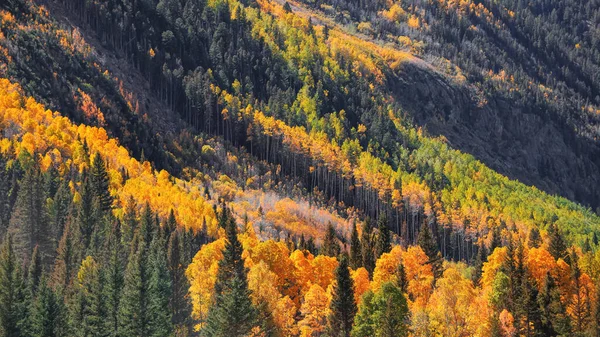 Kleurrijke Herfstbomen Hellingen Van Het San Juan Gebergte — Stockfoto