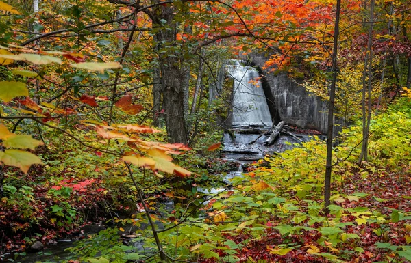 Door Mens Gemaakte Watervallen Omgeven Met Herfst Gebladerte Michigan Bovenste — Stockfoto