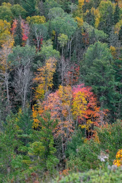 Лиственные Леса Начале Осени Вдоль Горы Броквей Верхней Части Мичиганского — стоковое фото