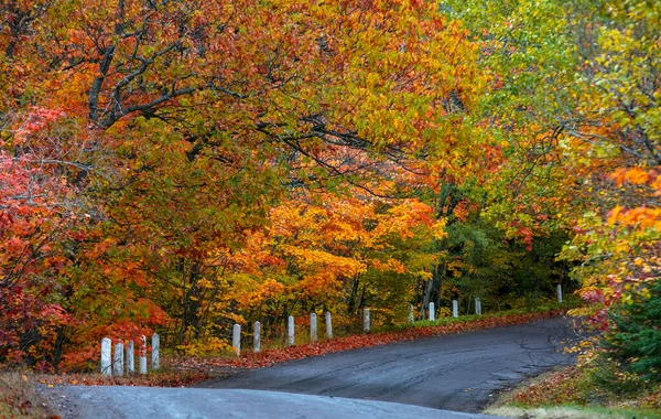 Weelderige Kleurrijke Herfstbomen Langs Het Schilderachtige Brockway Bergstation Michigan Upper — Stockfoto