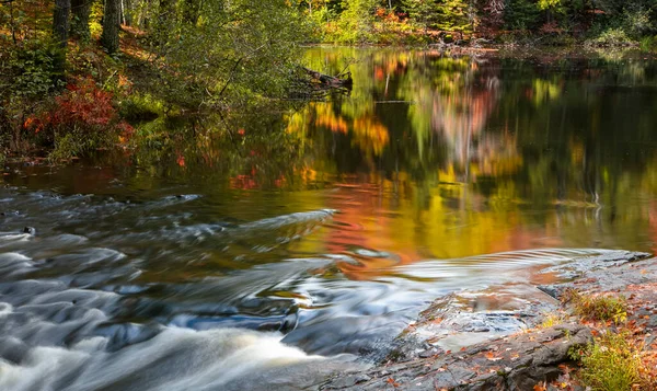 Árvore Outono Brilhante Reflexões Água Corrente Rio Morto Península Superior — Fotografia de Stock