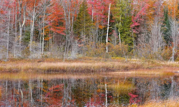 Colorful autumn trees with reflection in water at Deer lake in Michigan upper peninsula