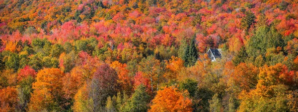 Panorámás Kilátás Őszi Táj Vermont Nyaralóház Körülvéve Őszi Lombozat — Stock Fotó