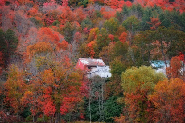 佛蒙特州山上的老谷仓 被明亮的落叶环绕着 — 图库照片