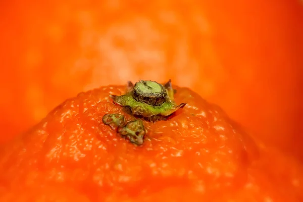 Close Shot Van Sinaasappel Fruit Staart Einde — Stockfoto