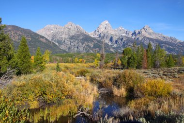 mükemmel grand tetons resim