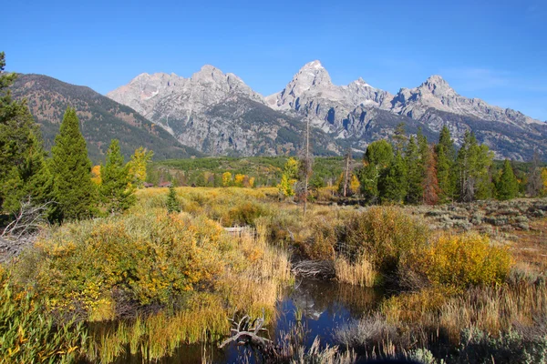 Picture perfect Grand Tetons — Stock Photo, Image