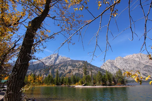 Jenny Lake. — Foto Stock