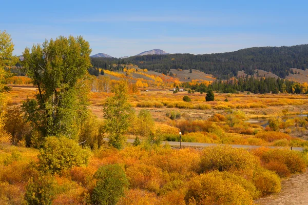 Paisagem de outono em Yellowstone — Fotografia de Stock